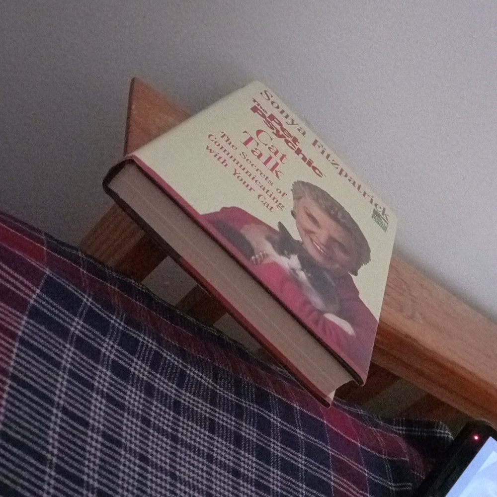 Book - Picture 3 of 6